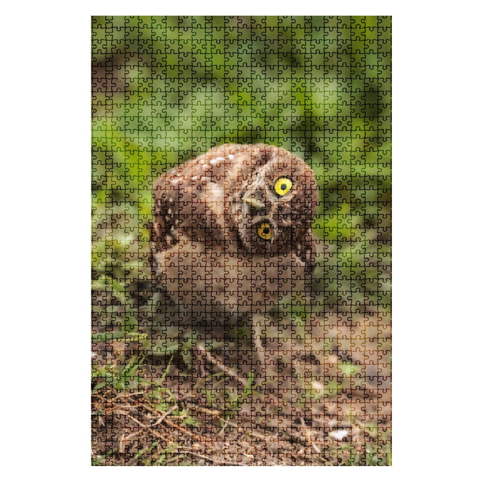 1000 Piece Jigsaw Puzzle - Funny Burrowing Owl (Athene Cunicularia) Challenging Puzzle for Adults & Kids - Educational Toy & Gift for Family Game Night, Classroom Activities & Stress Relief