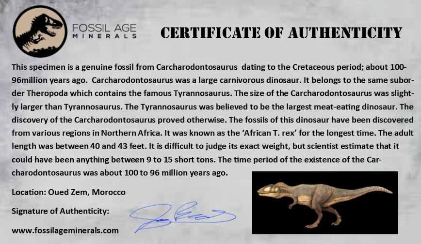 Authentic 1.3