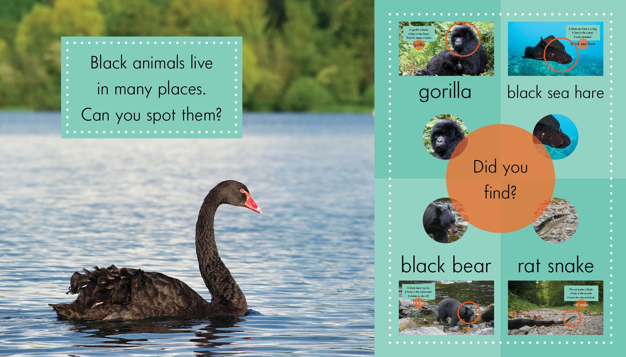 Black Animal Plush Toys - Soft Stuffed Animals for Kids, Cute & Cuddly Gifts for Birthdays & Holidays - Perfect for Nursery Decor, Bedroom Cuddles & Playtime Fun