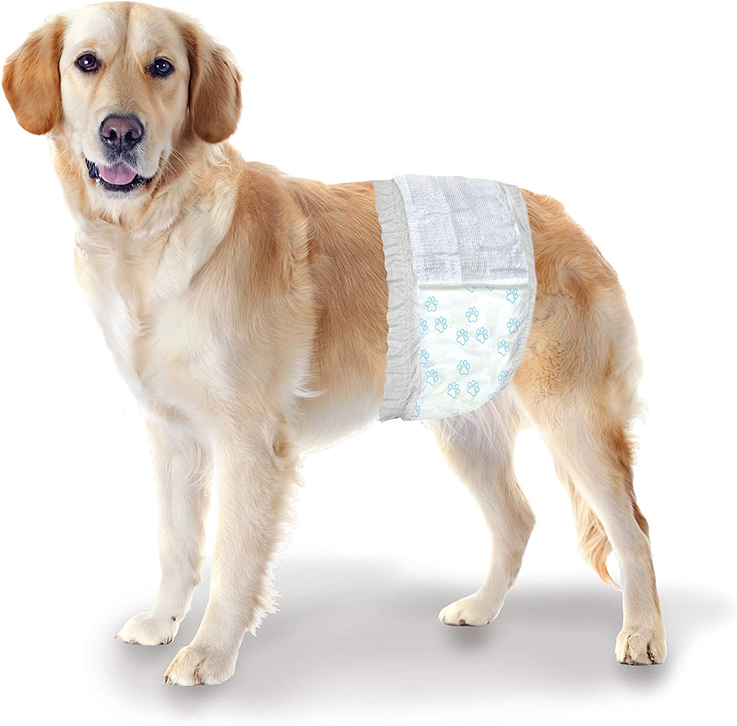 Disposable Male Dog Wraps for Small Dogs - Washable & Leak-Proof Puppy Diapers - Perfect for House Training, Travel & Senior Dogs with Incontinence Issues