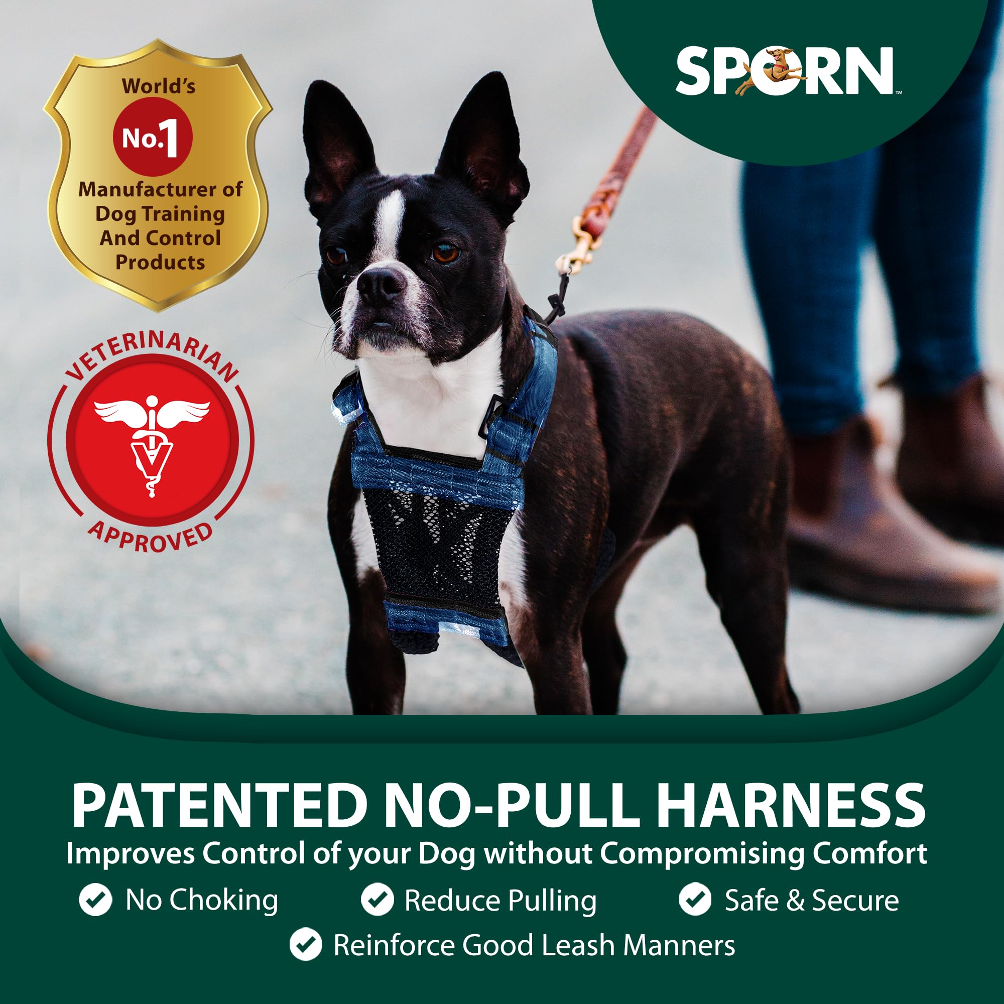 No Pull Dog Harness for Small Breeds - Breathable Blue Mesh & Durable Nylon Anti-Pull Pet Harness - Adjustable Comfort for Walking, Training, and Outdoor Adventures