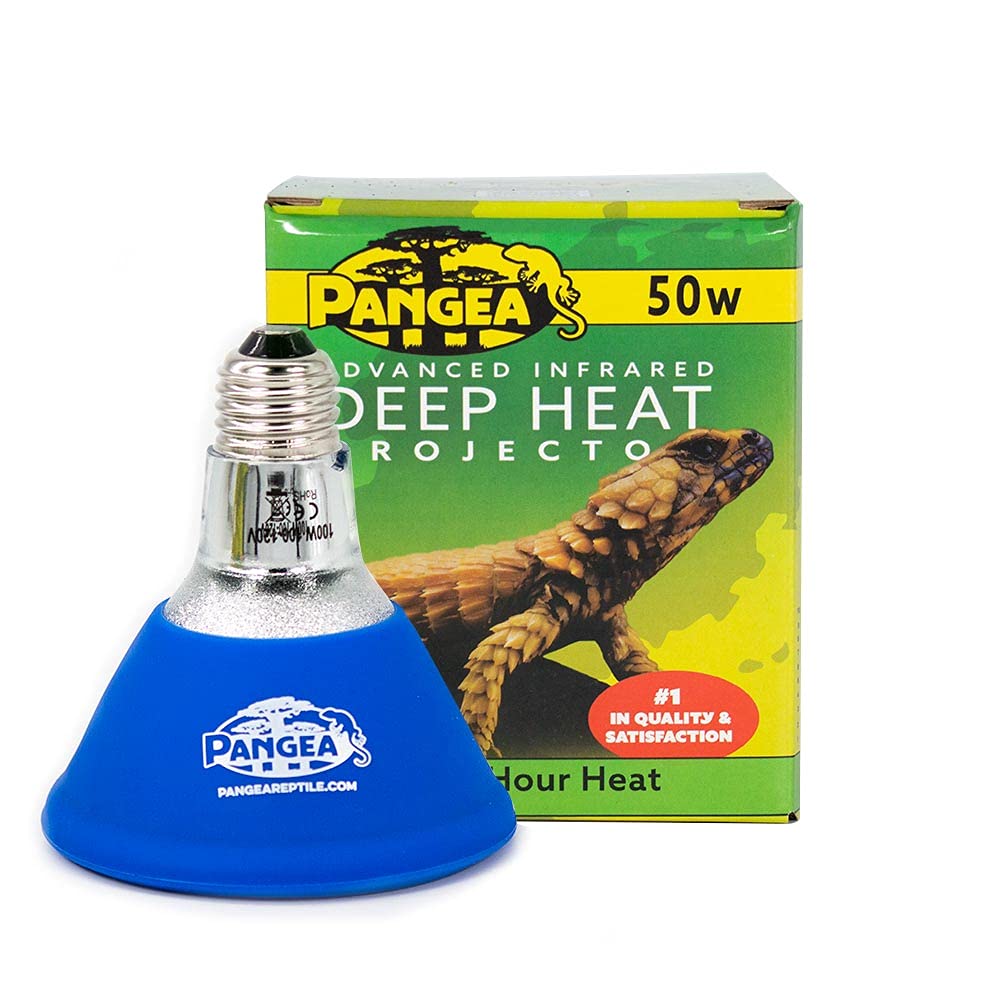Pangea Deep Heat Projector 2-Pack - 75W Reptile Heating Lamp for Terrariums & Vivariums - Ideal for Bearded Dragons, Snakes & Lizards - Provides Natural Warmth & Comfort