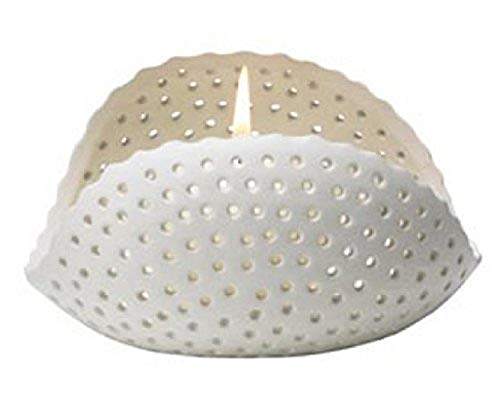 White Seashell