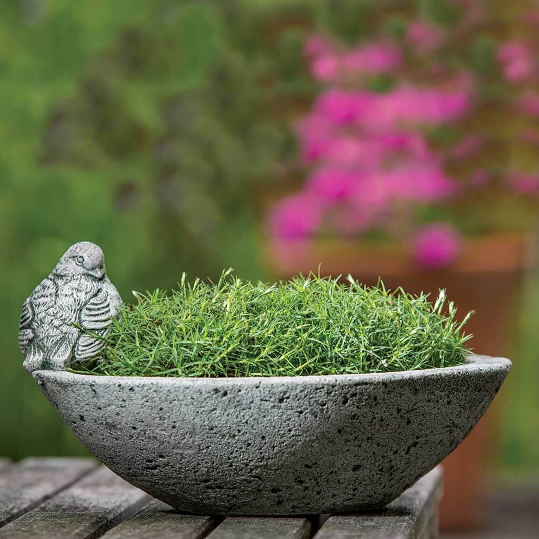 Aurielle Modern Ceramic Planter - Elegant Indoor Flower Pot for Home Decor, Office Plants, Succulents & Small Houseplants | Perfect for Living Room, Bedroom, Balcony & Gift Giving