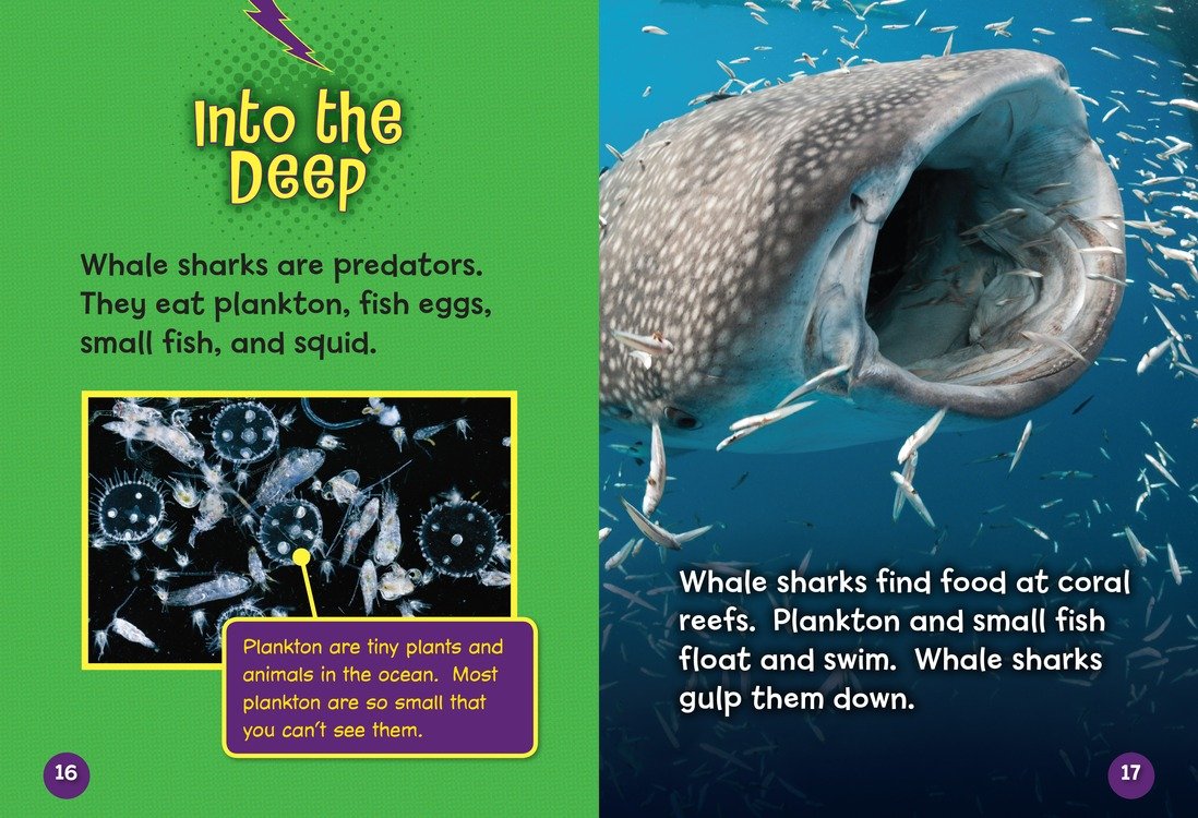Whale Sharks in Action - Lightning Bolt Books ® Shark World | Educational Kids Book for Marine Life Learning & Classroom Reading