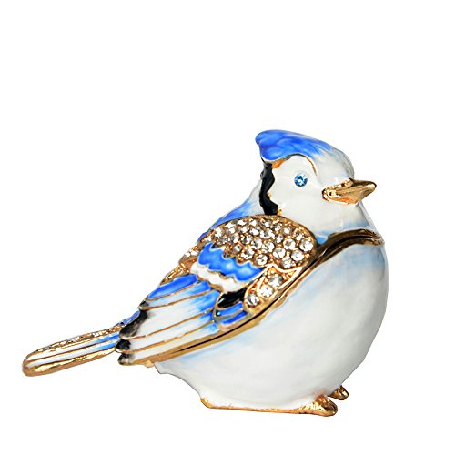 Blue Jay-4