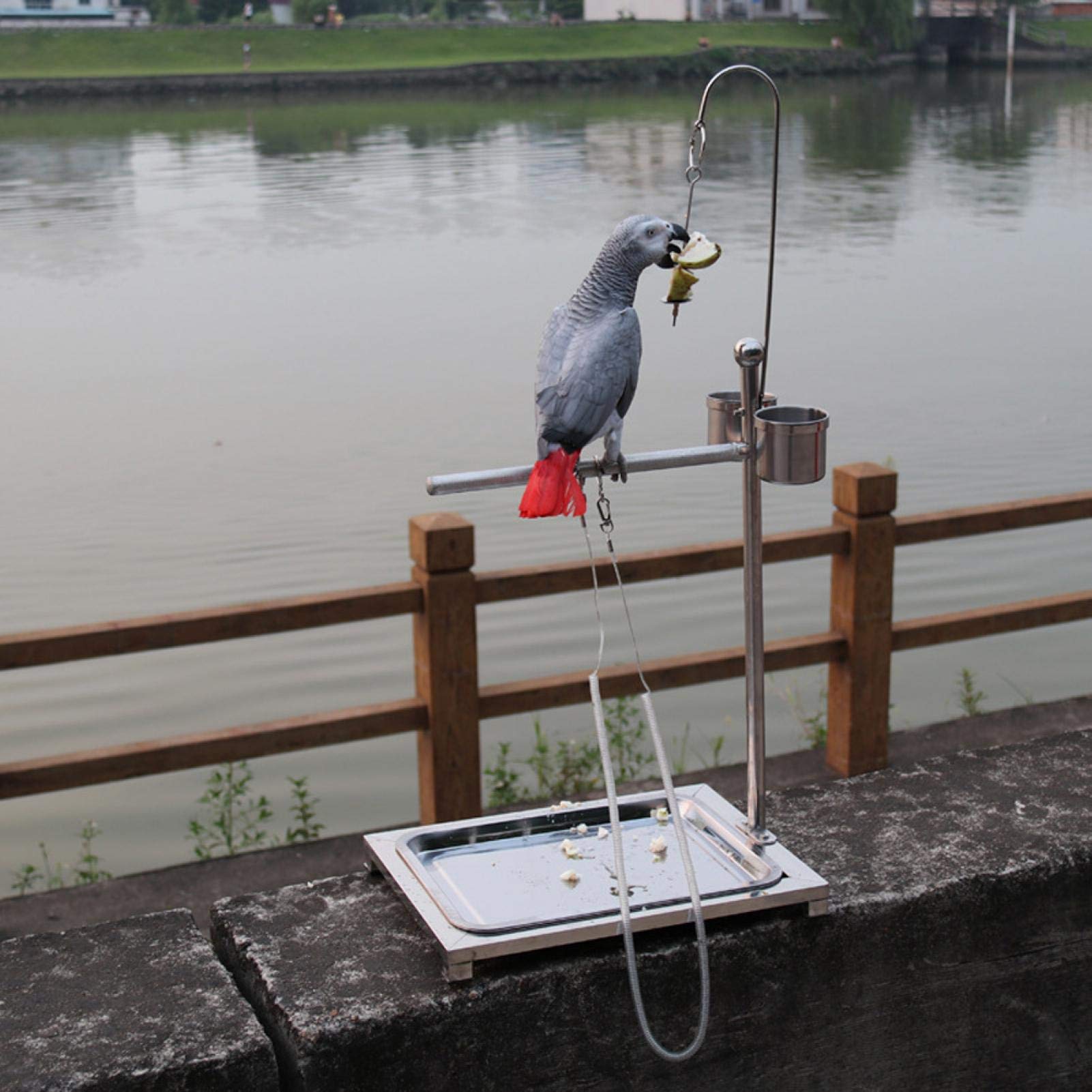 EVTSCAN Stainless Steel Bird Stand for Parrots - Training Perch with 2 Food Bowls (44 x 33 x 60cm) | Durable Bird Play Gym for Cockatiels, Macaws & Pet Birds | Perfect for Training, Feeding & Playtime at Home
