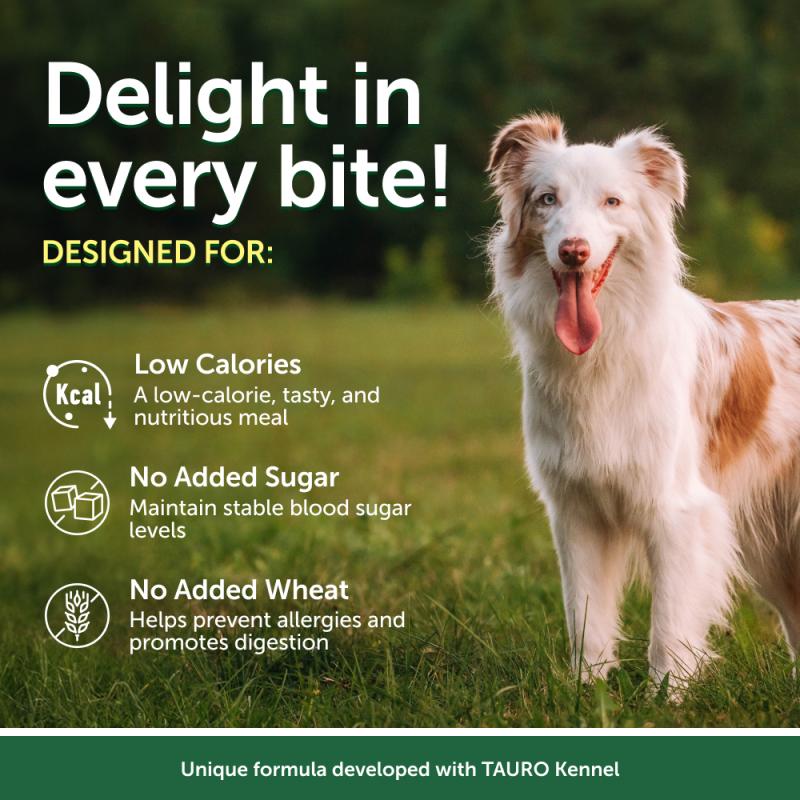 Premium Tuna & Salmon Wet Dog Food for Adult Dogs - All Breeds & Sizes - High Protein Meal for Healthy Skin & Coat - Perfect for Picky Eaters & Daily Feeding
