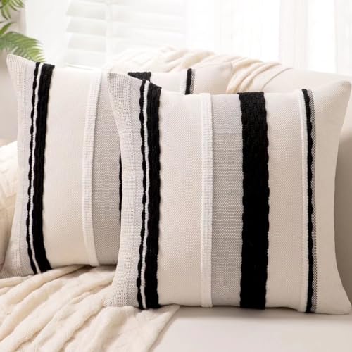 Black Stripe 2