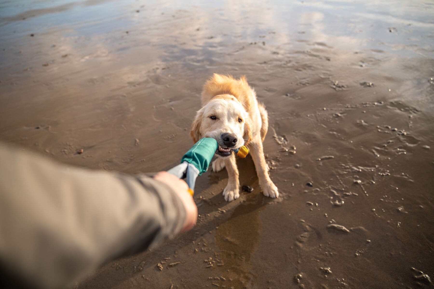 Ruffwear® Pacific Ring Loop Dog Toy - Durable Orange/Yellow Fetch & Tug Toy for Active Dogs - Perfect for Outdoor Play, Training & Bonding with Your Pet