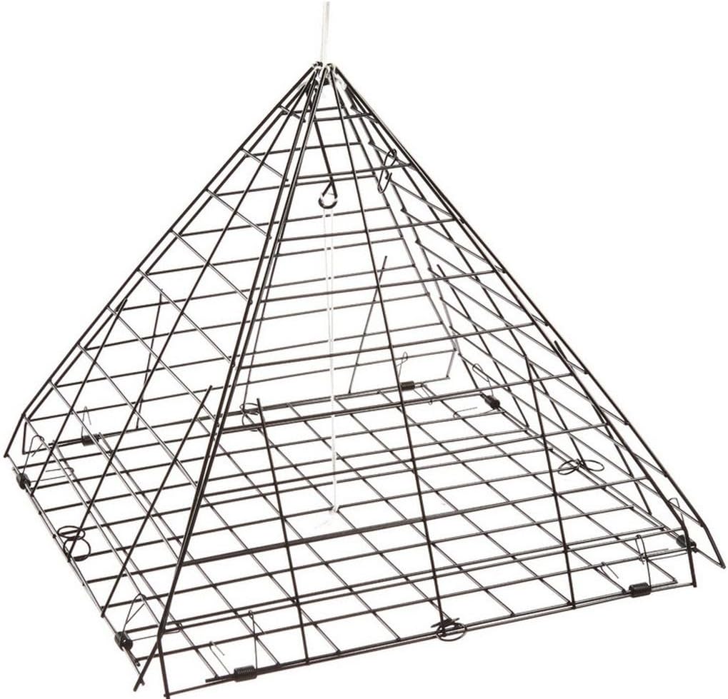 Danielson Crab Trap Star - Durable Crab Trap for Crabbing & Fishing - Perfect for Saltwater & Freshwater Crabbing Adventures