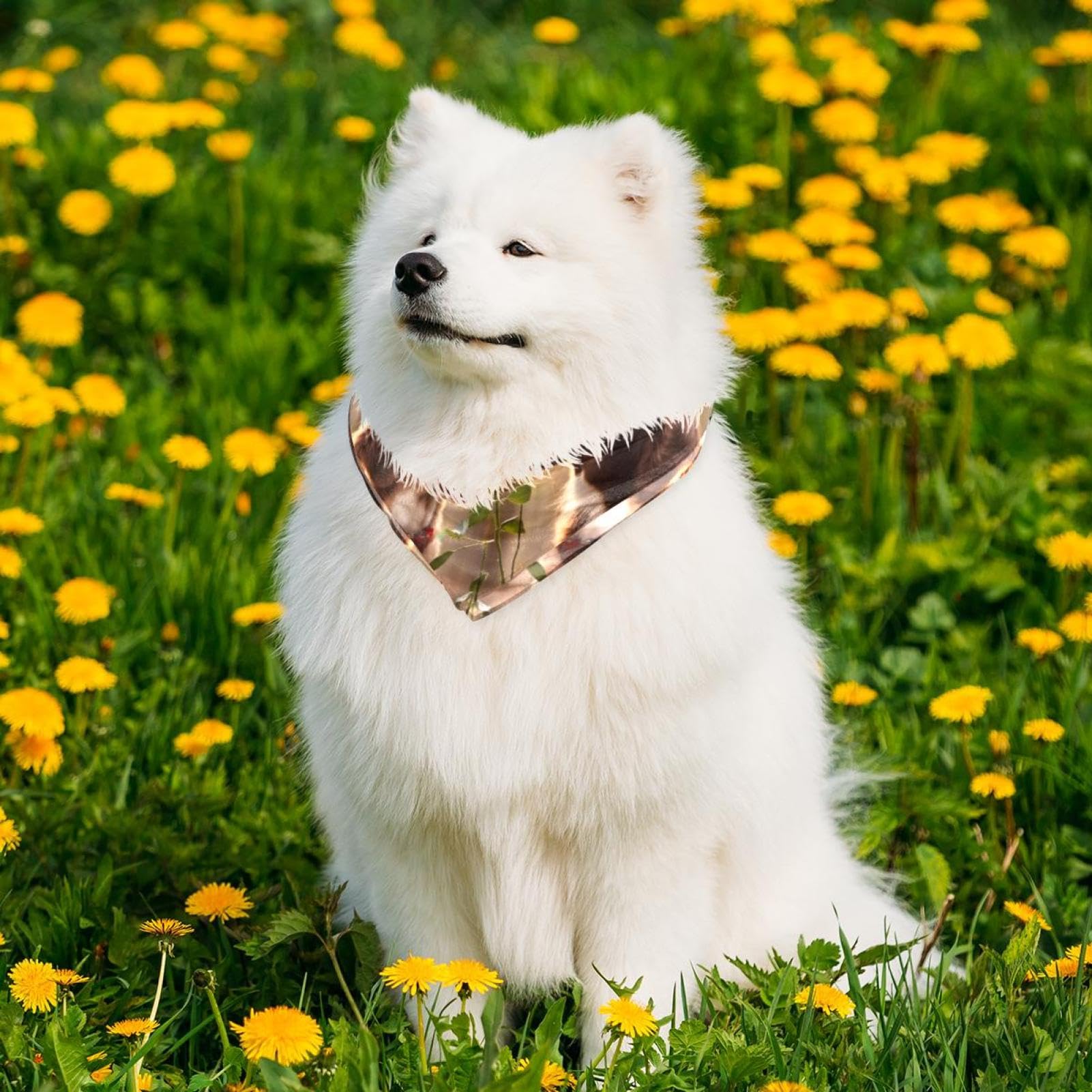 Stylish Dog Bandanas for Small, Medium & Large Pets - 2-Piece Floral Pet Scarf Set for Dogs & Cats | Perfect for Outdoor Adventures, Pet Photos & Special Occasions