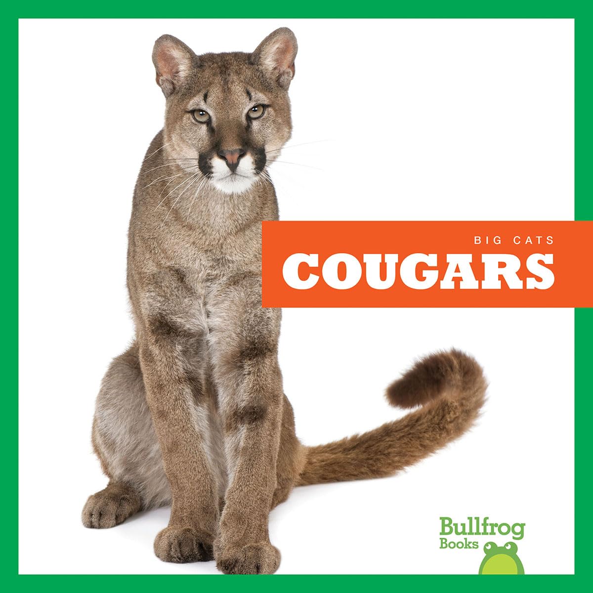 Cougars Book: Big Cats Facts for Kids & Learning