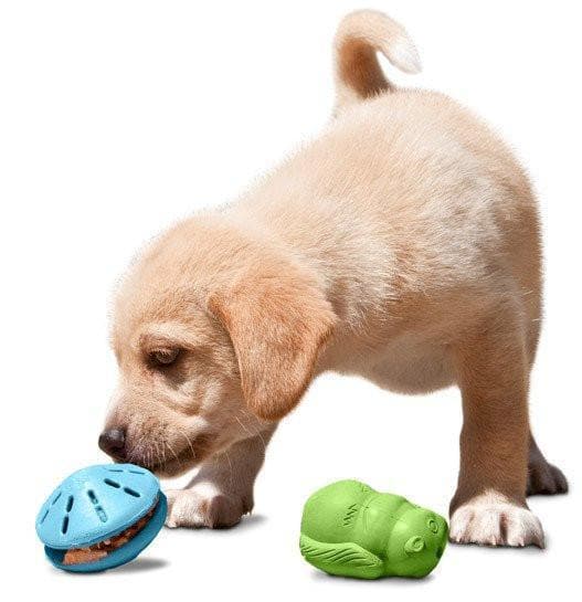Busy Buddy® Puppy Squirrel Dude Dog Toy for Puppies - Interactive Chew Toy for Teething, Boredom Relief & Training - Perfect for Small Dogs & Puppies Playtime