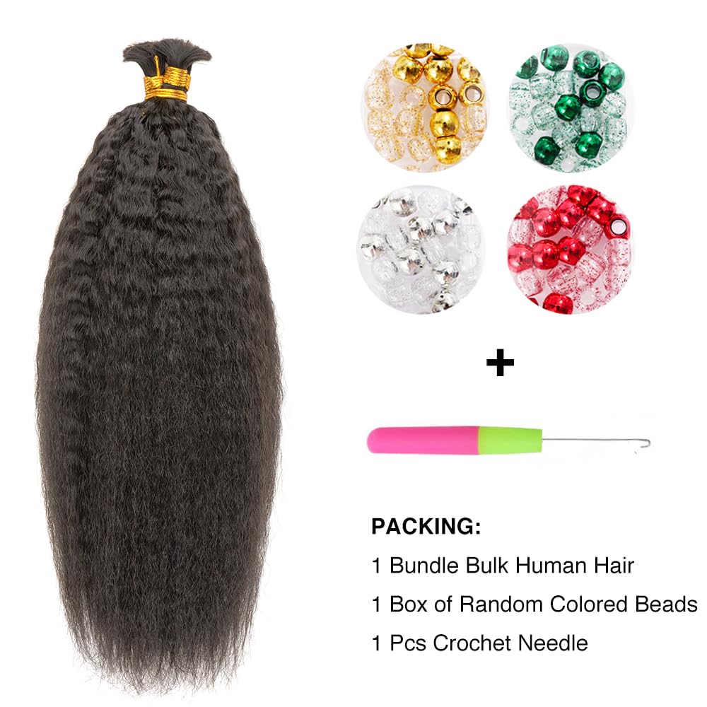 Brazilian Human Hair Bulk for Braiding - 100% Natural Wet & Wavy No Weft Bundles (14 Inch, Kinky Straight) - Perfect for Crochet Braids, Box Braids & Protective Hairstyles