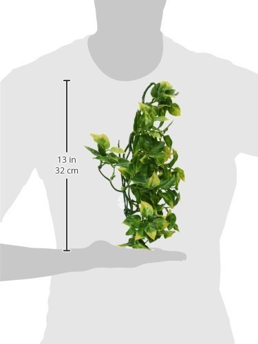 Exo Terra Medium Plastic Terrarium Plant - Amapallo for Reptile & Amphibian Habitat Decoration - Perfect for Vivariums, Terrariums & Reptile Enclosures