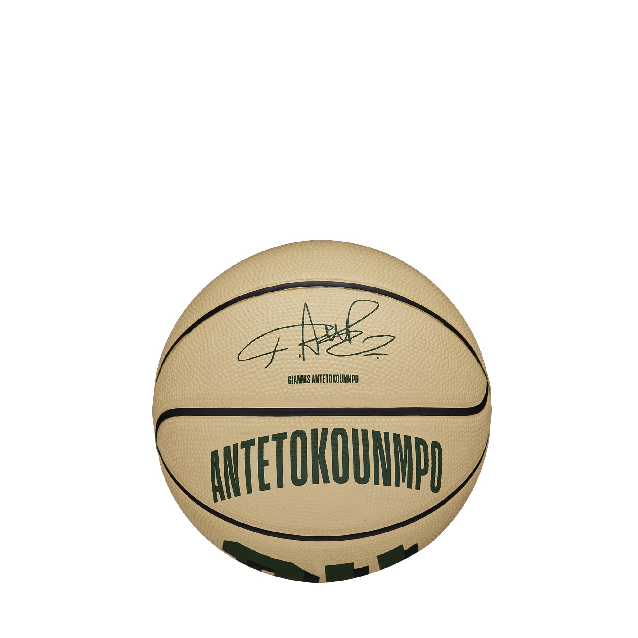 Wilson NBA Player Icon Basketballs - Official Size 3 & Size 7 for Indoor/Outdoor Play - Perfect for Training, Games & Collectibles