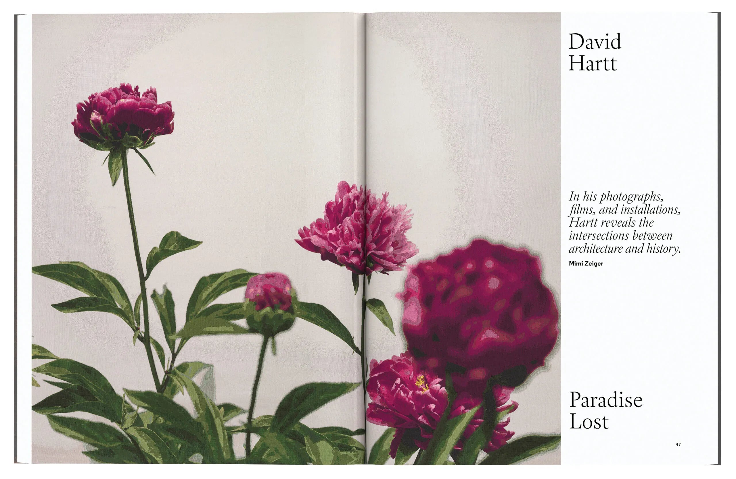 Aperture Magazine Issue 255 - Contemporary Photography & Visual Arts | Perfect for Collectors, Artists & Photography Enthusiasts