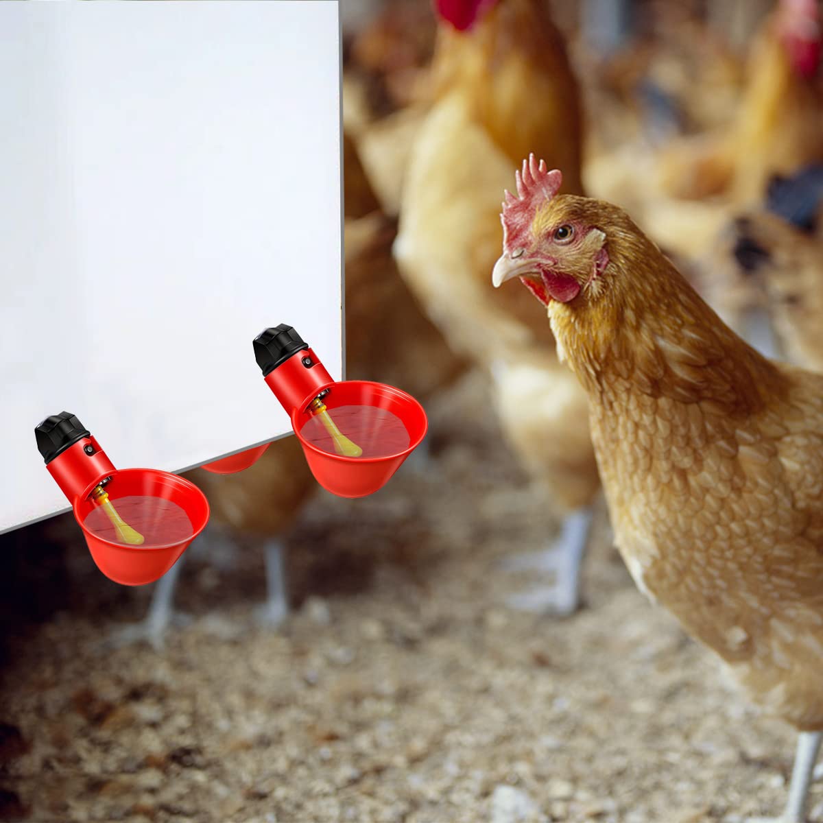 Automatic Chicken Waterer Cup - Poultry Drinking System for Hens, Ducks & Birds - Perfect for Coops, Farms & Backyard Poultry Raising