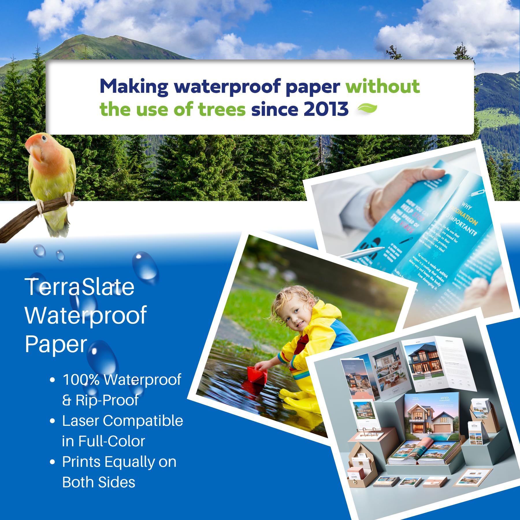 TerraSlate Waterproof and Rip-Proof Paper - 50 Sheets, 5 Mil (120lb Cover), 11” x 17” - Compatible with Laser Printers & Copy Machines - Ideal for Outdoor Maps, Construction Plans & Water-Resistant Documents