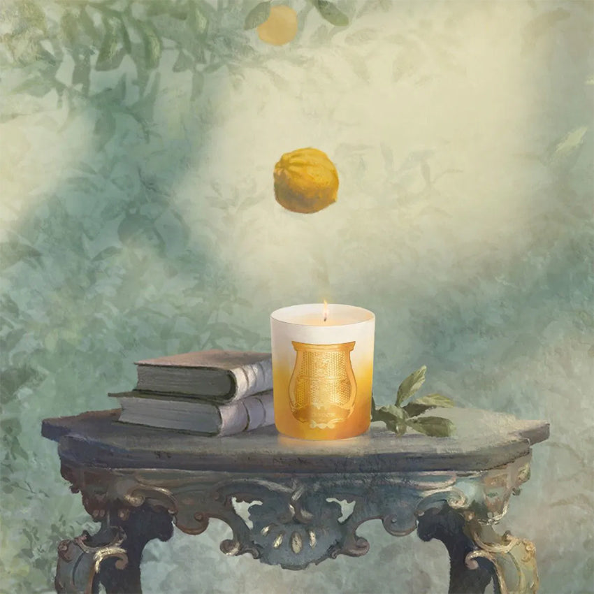 Cire Trudon Isla de Oro Classic Scented Candle - Special Edition Luxury Home Decor | Perfect for Living Room, Bedroom & Gift Giving