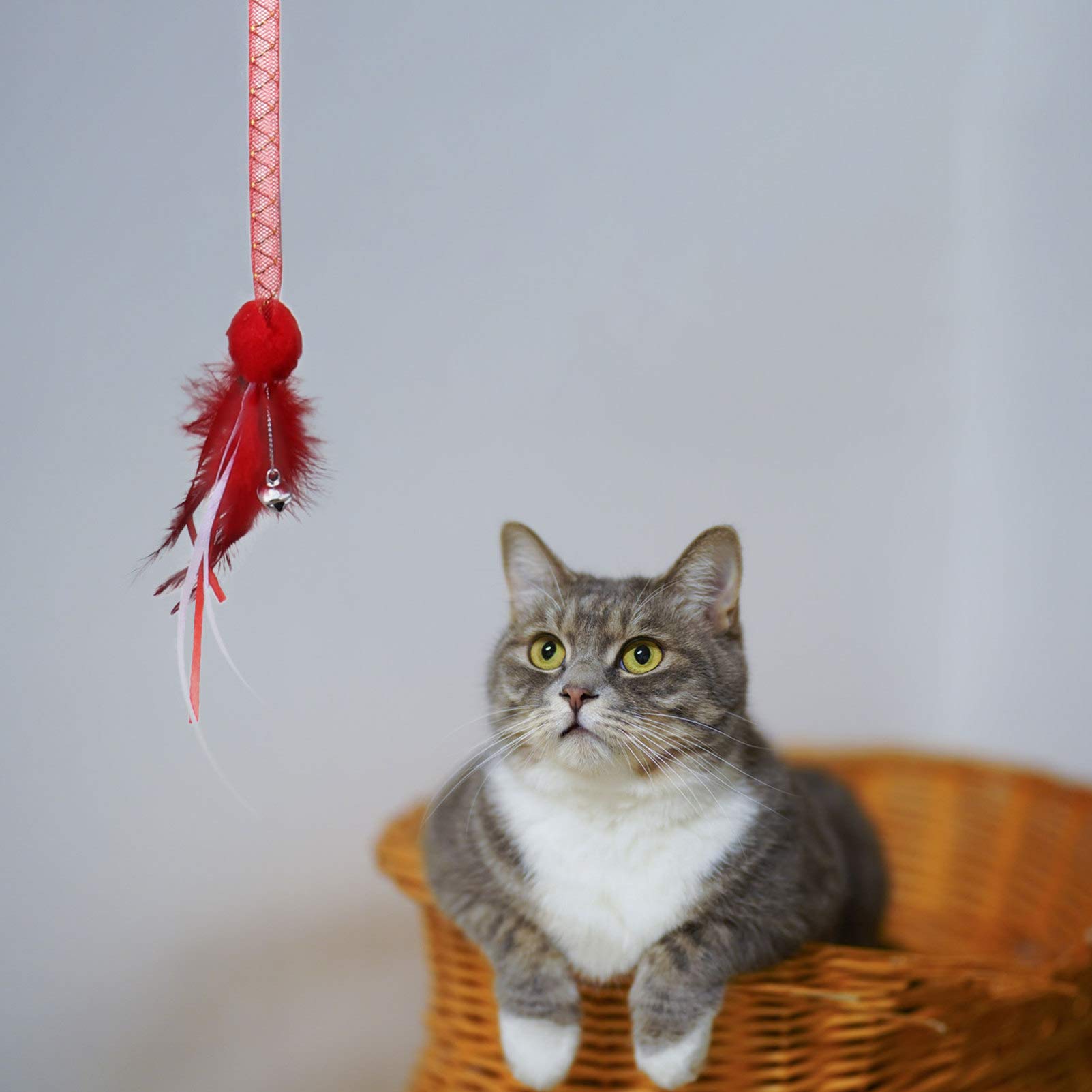 Balacoo 3-Piece Cat Toy Wand Set - Interactive Kitten Toys with Teaser Wand & Ant Nest Workout Stick for Indoor Cats - Perfect for Exercise, Playtime & Bonding with Your Feline Friend