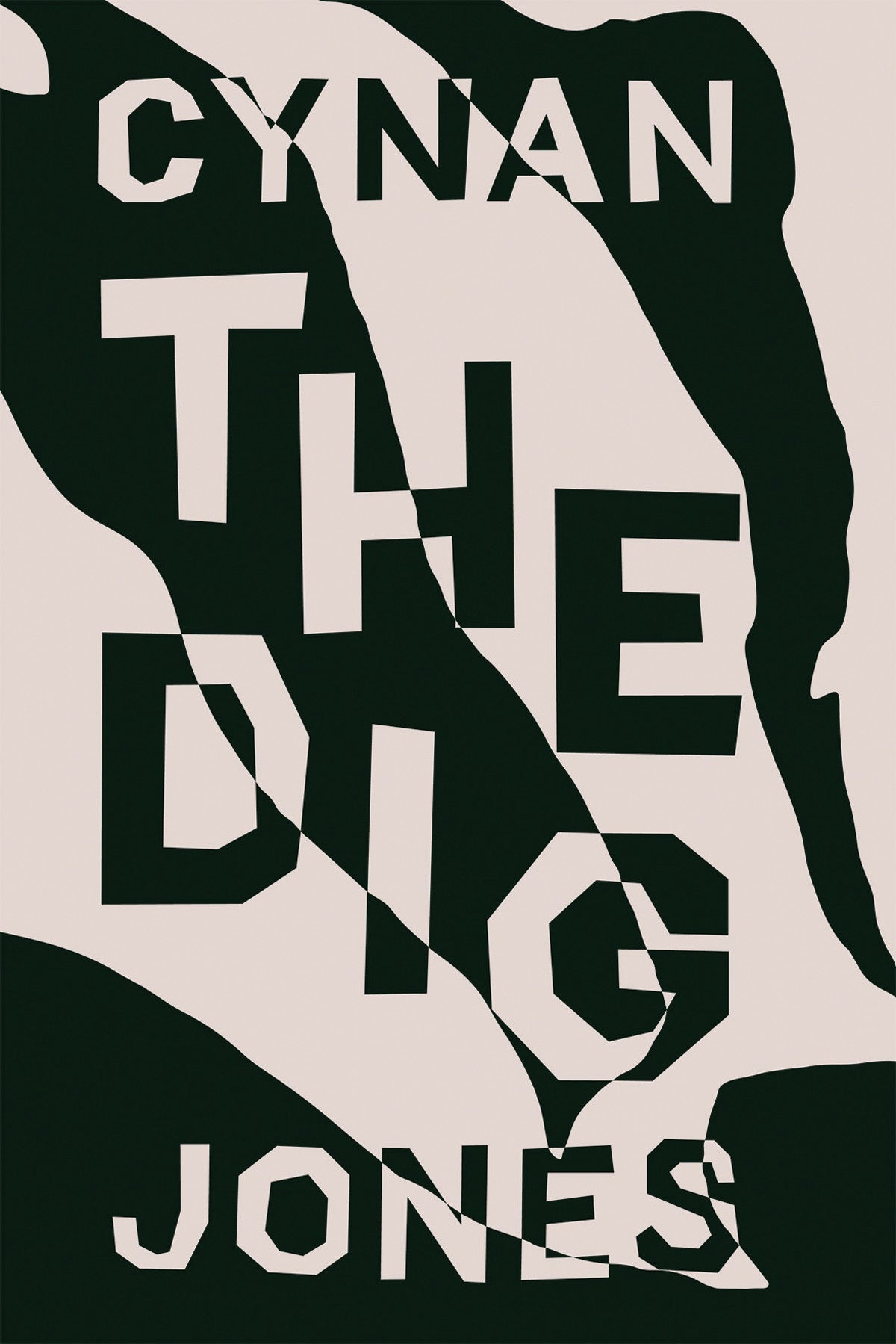 The Dig - Excavation Adventure Game for PC & Mac | Explore Ancient Mysteries & Solve Puzzles | Perfect for History Buffs & Puzzle Lovers