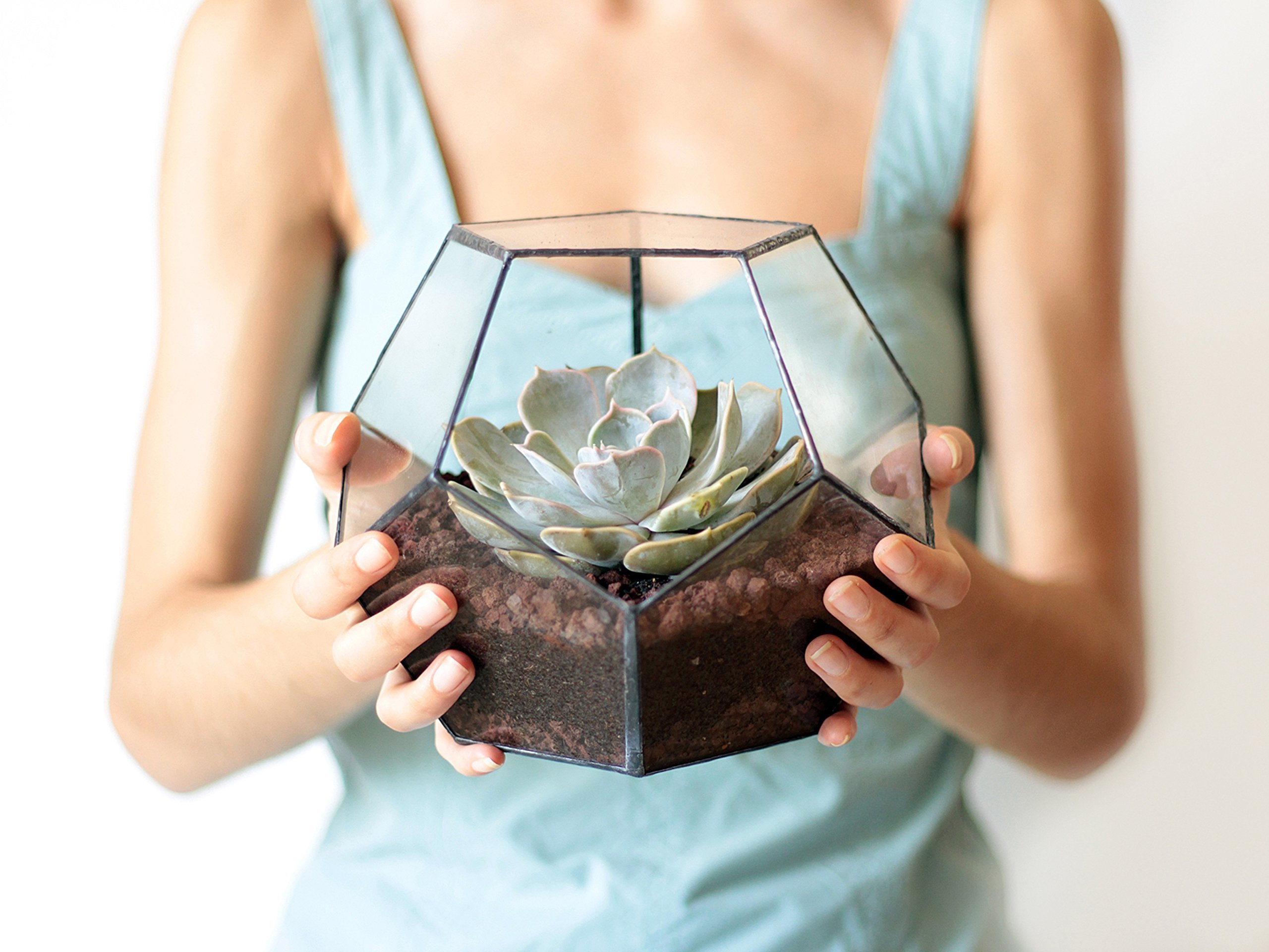 Glass Geometric Terrarium Planter - Dodecahedron Shape in Copper, Silver & Black | Indoor Plant Display for Home Decor, Office Desk & Gift Ideas