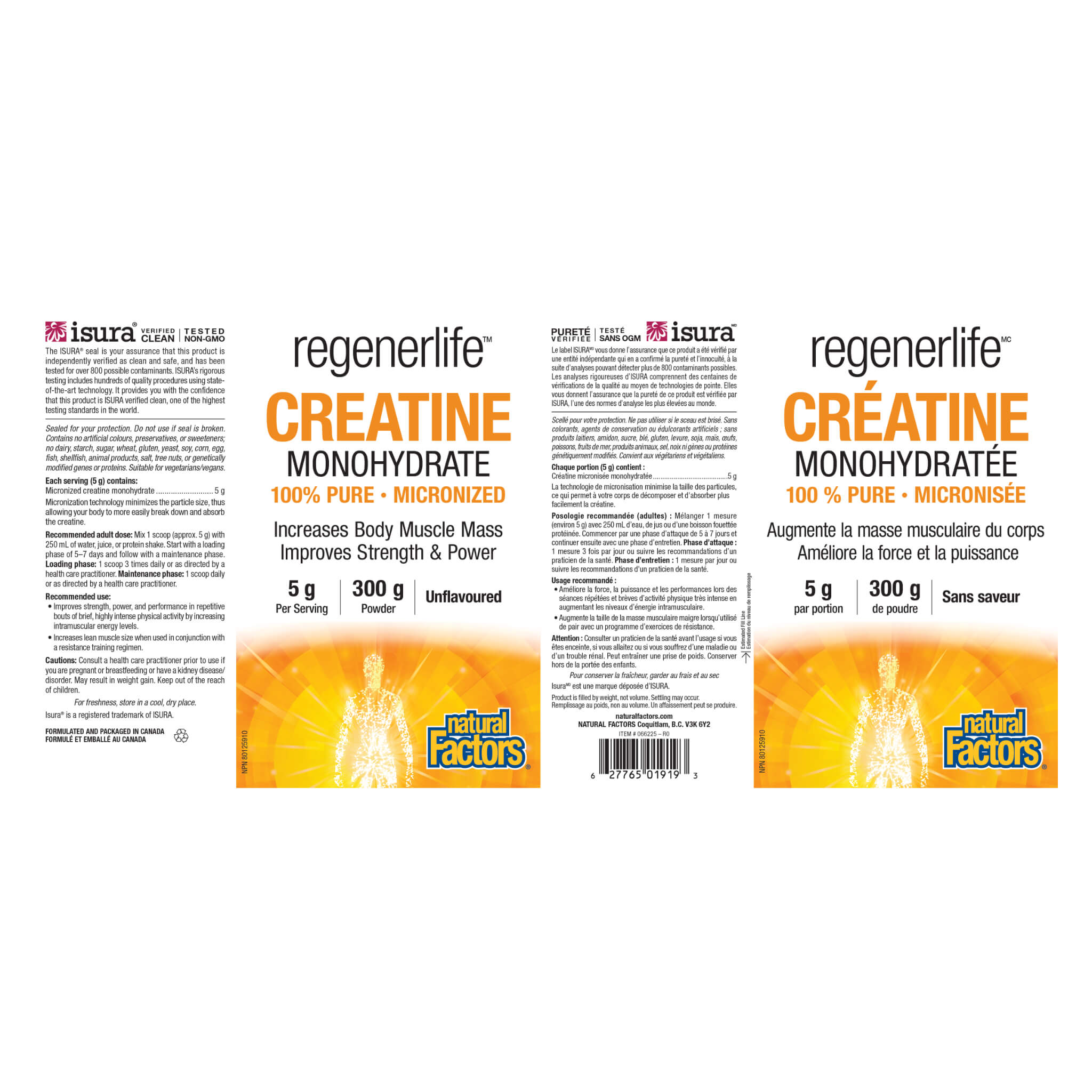 RegenerLife Micronized Creatine Monohydrate Powder - Premium Muscle Building Supplement for Athletes & Bodybuilders - Supports Strength, Endurance & Recovery - Ideal for Pre/Post Workout & Fitness Training