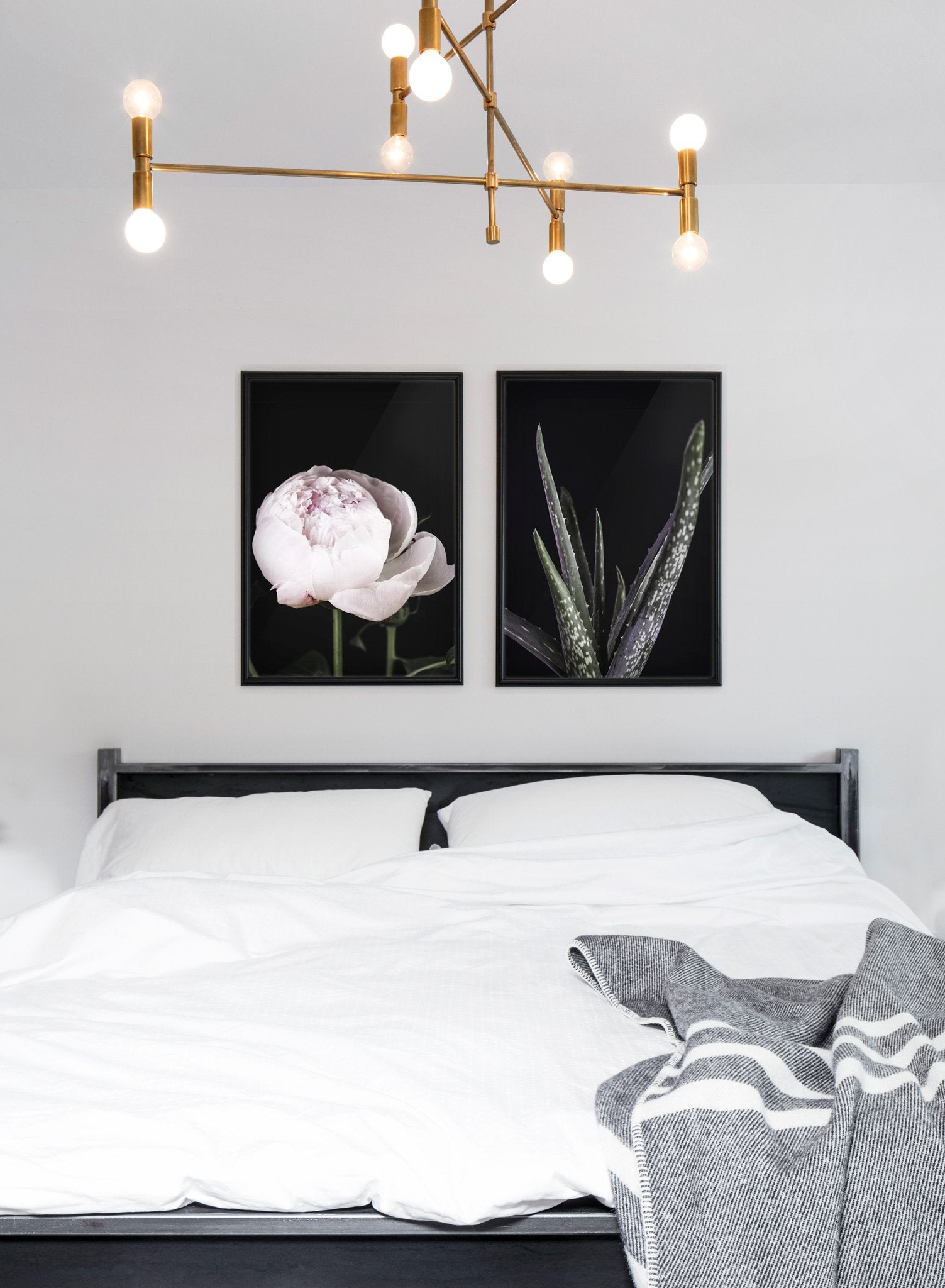 Aloe Vera Poster - Botanical Wall Art for Home & Office Decor - Perfect for Living Room, Bedroom, or Spa Relaxation Space