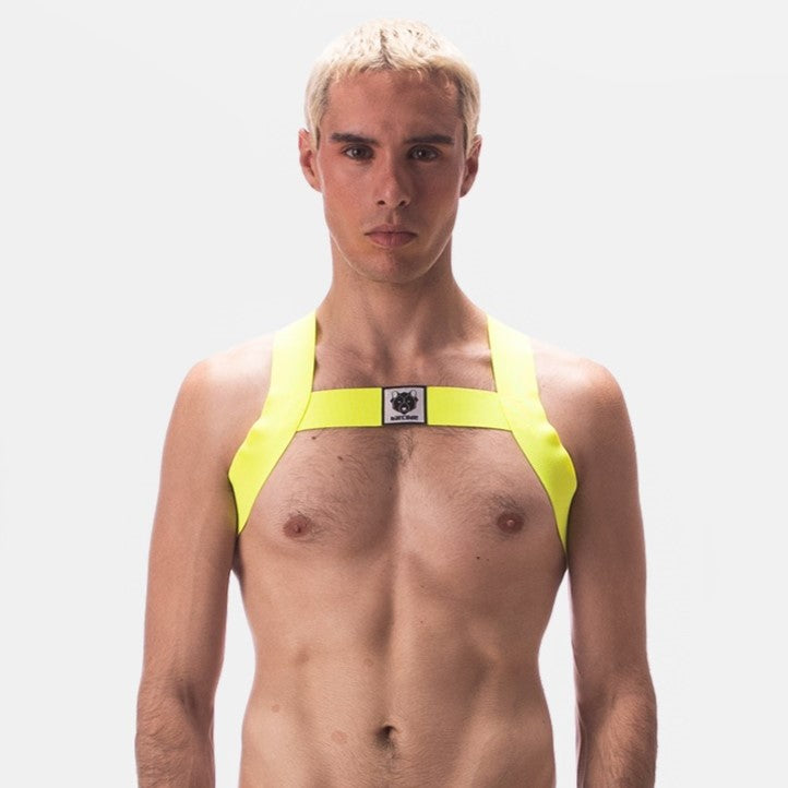 Barcode Berlin Leonsh Dog Harness - Neon Yellow Reflective Pet Safety Vest for Small to Medium Dogs - Perfect for Night Walks, Jogging & Outdoor Adventures