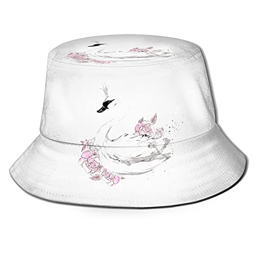 Swan_a04