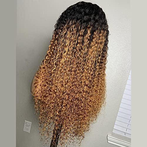 Ombre Kinky Curly 13x4 Lace Front Wig for Black Women - 150% Density Brazilian Human Hair Wig in 1B30 Brown with Baby Hair | 10 Inch V-Part Lace Wig for Daily Wear, Parties & Special Occasions