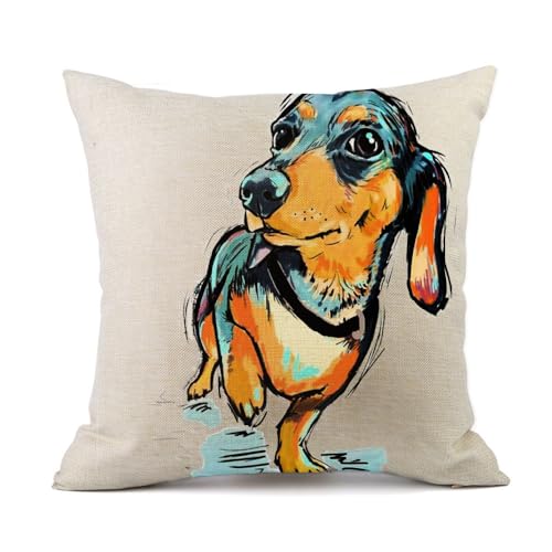 Dachshund M