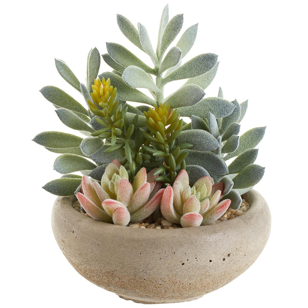 Modern Cement Succulent Planter - Small Indoor/Outdoor Garden Decor for Home, Office, or Gift