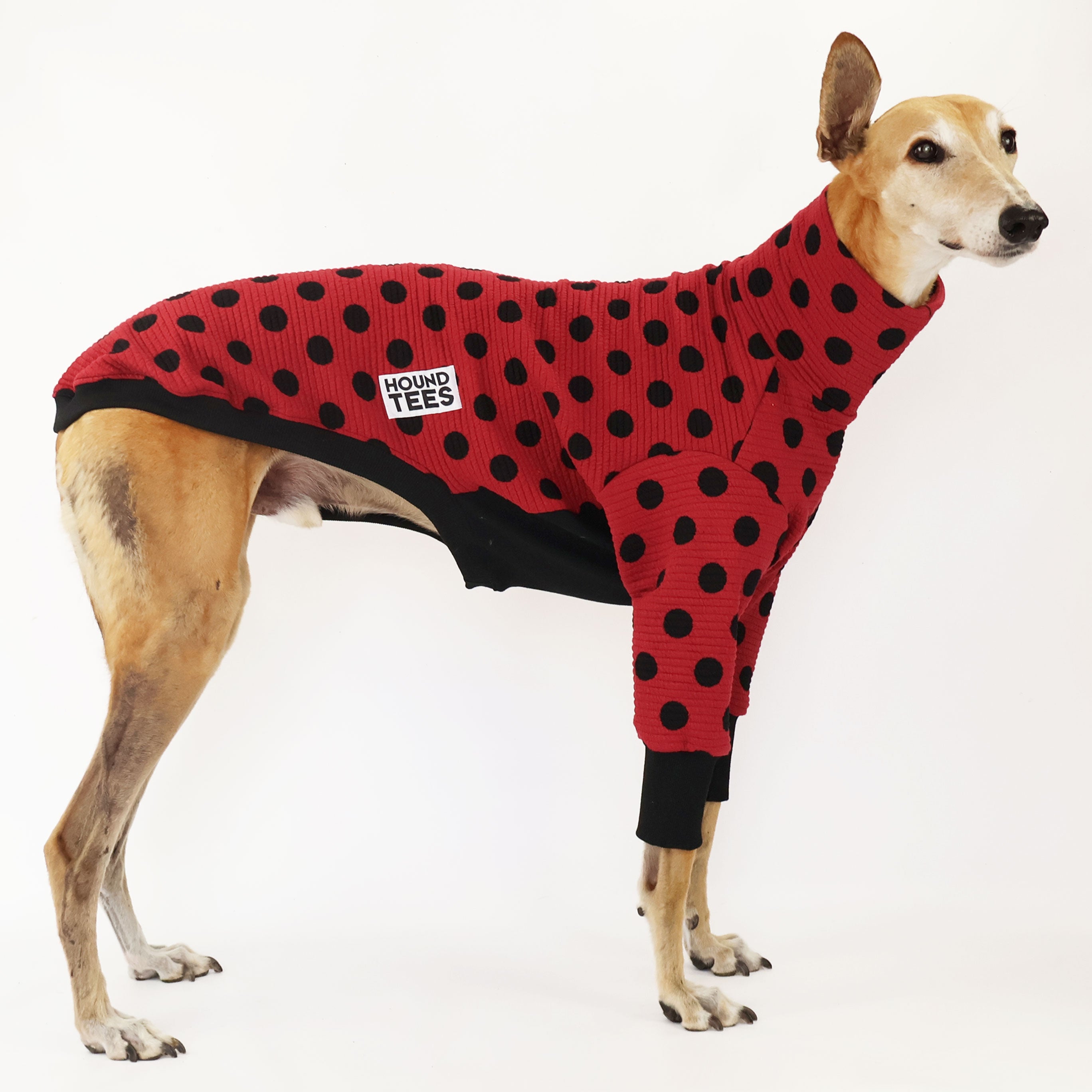 Stylish Ladybug Greyhound Quilted Sweater for Dogs - Cozy Winter Apparel & Fashionable Pet Outfit - Perfect for Outdoor Walks, Photo Shoots & Cold Weather