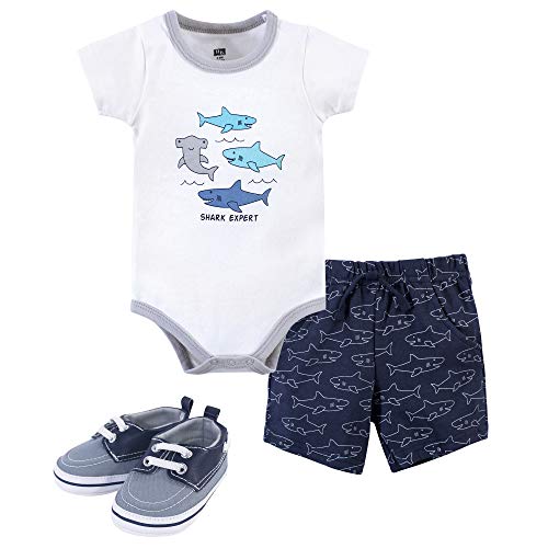 Shark Expert