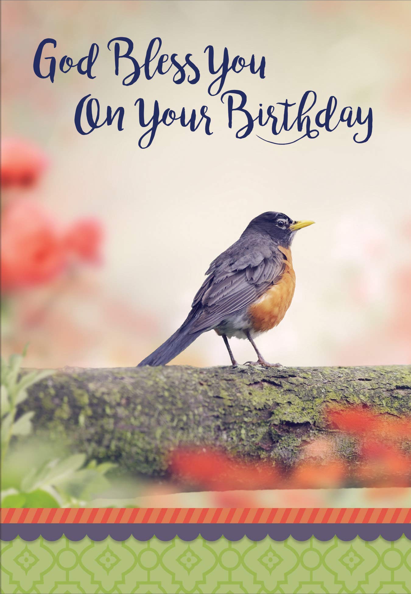 Premium DGR Birthday Greeting Cards - Box of 12 Marvelous Works Greeting Cards for All Occasions | Perfect for Birthdays, Anniversaries & Special Celebrations