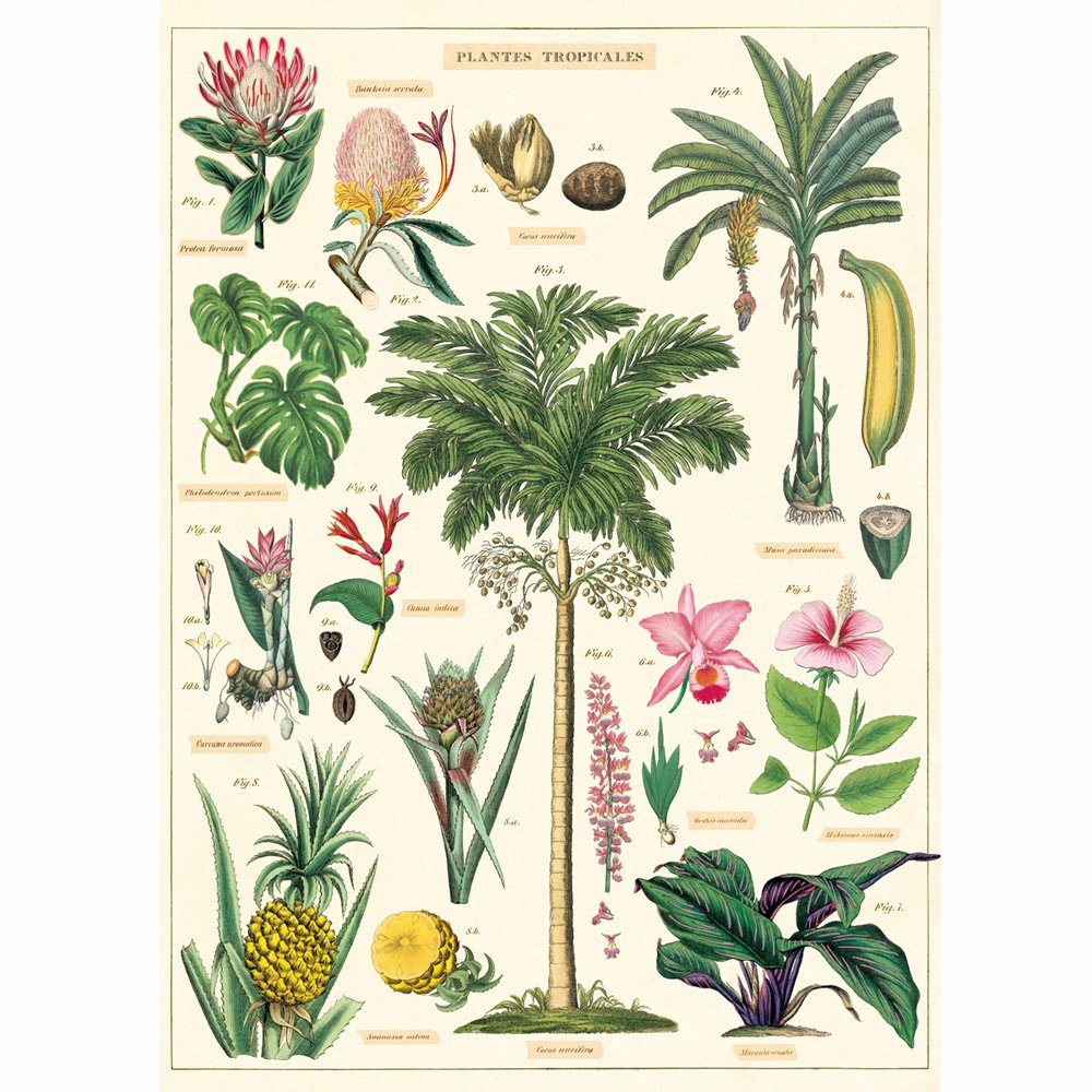 Tropical Plant Wraps - Decorative Floral Wraps for Gift Packaging, Home Decor & Party Decorations