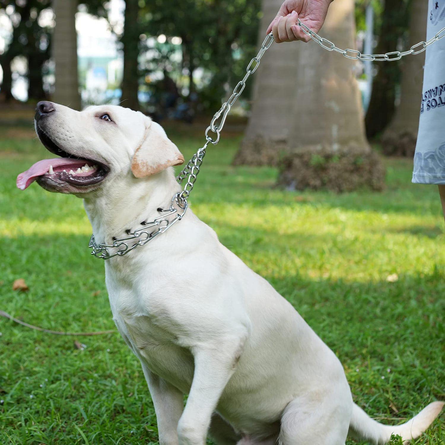 25 ft Heavy Duty Chew Proof Dog Tie Out Chain - Durable Long Dog Leash for Yard, Camping, Travel & Outdoor Activities (25ft Without Spring, Strong Metal Leash for Large Dogs)