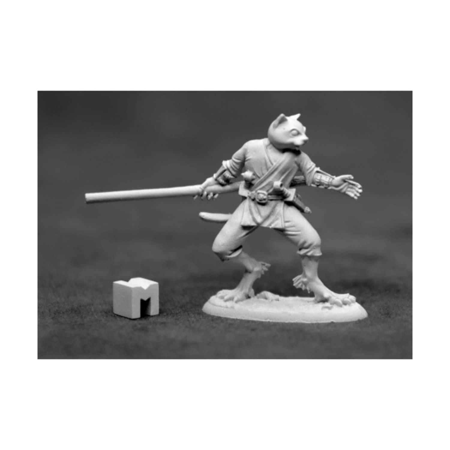 Reaper Miniatures Swiftpaw Catfolk Monk - 25mm Heroic Scale Fantasy RPG Miniature for D&D, Pathfinder & Tabletop Gaming - Dark Heaven Legends Collection