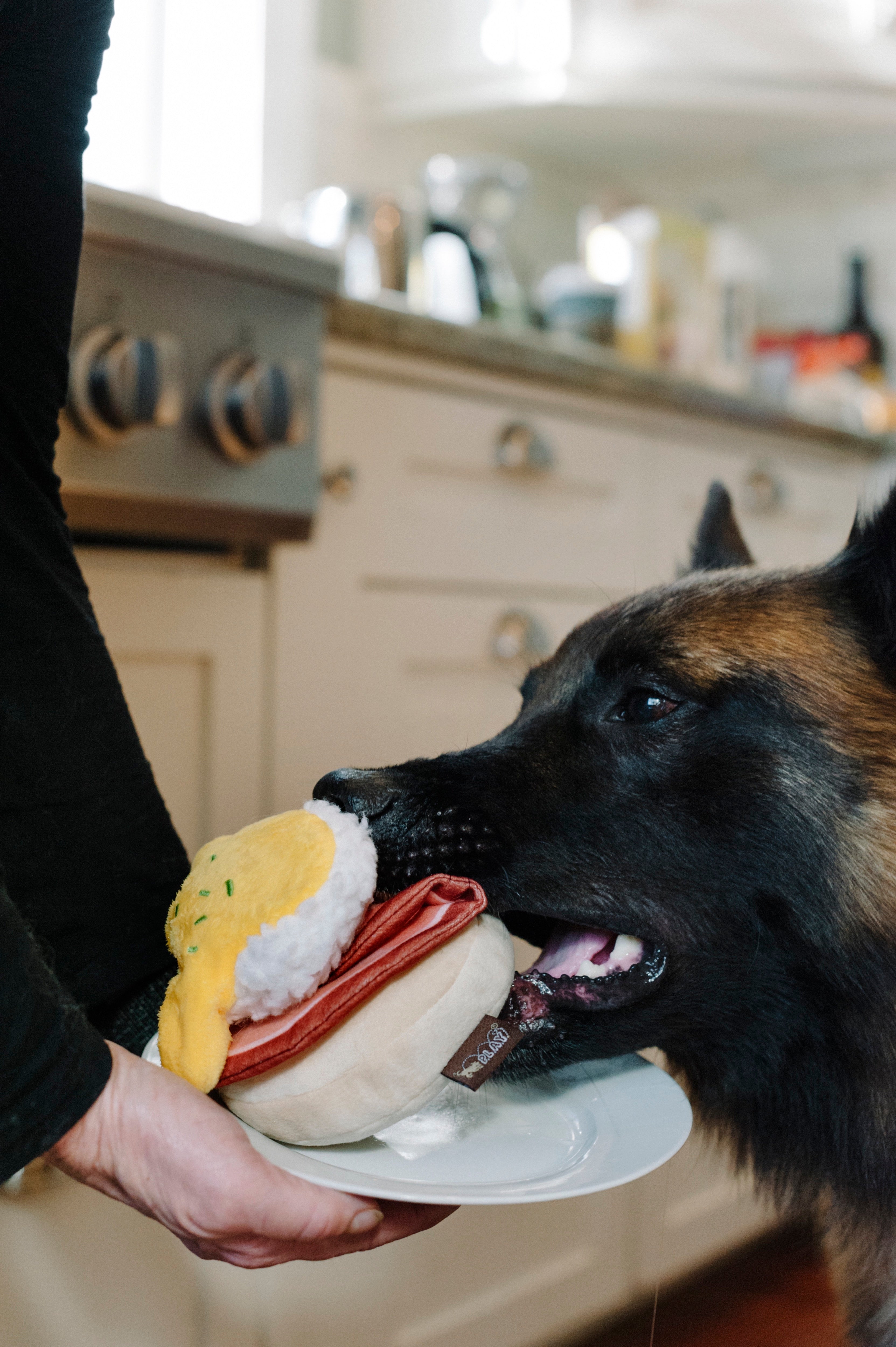 El Egg Benedict Plush Dog Toy - Barking Brunch™ Collection by Pet P.L.A.Y. | Soft & Durable Chew Toy for Small & Medium Dogs | Perfect for Playtime, Training & Cuddling