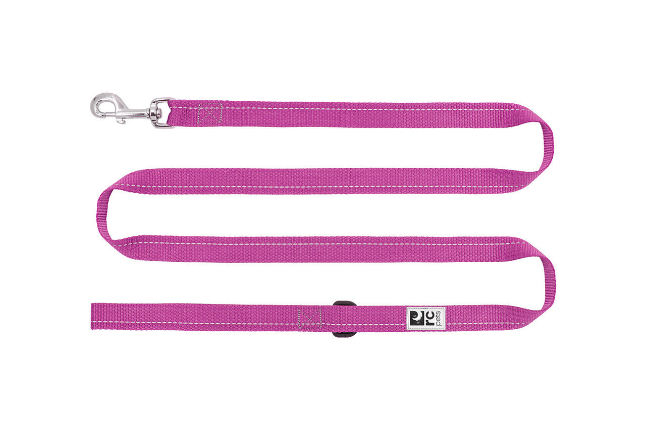RC Pets Reflective Dog Collar with Blueberry Scent - Durable Nylon Pet Collar for Small, Medium & Large Dogs - Perfect for Night Walks, Hiking & Outdoor Adventures