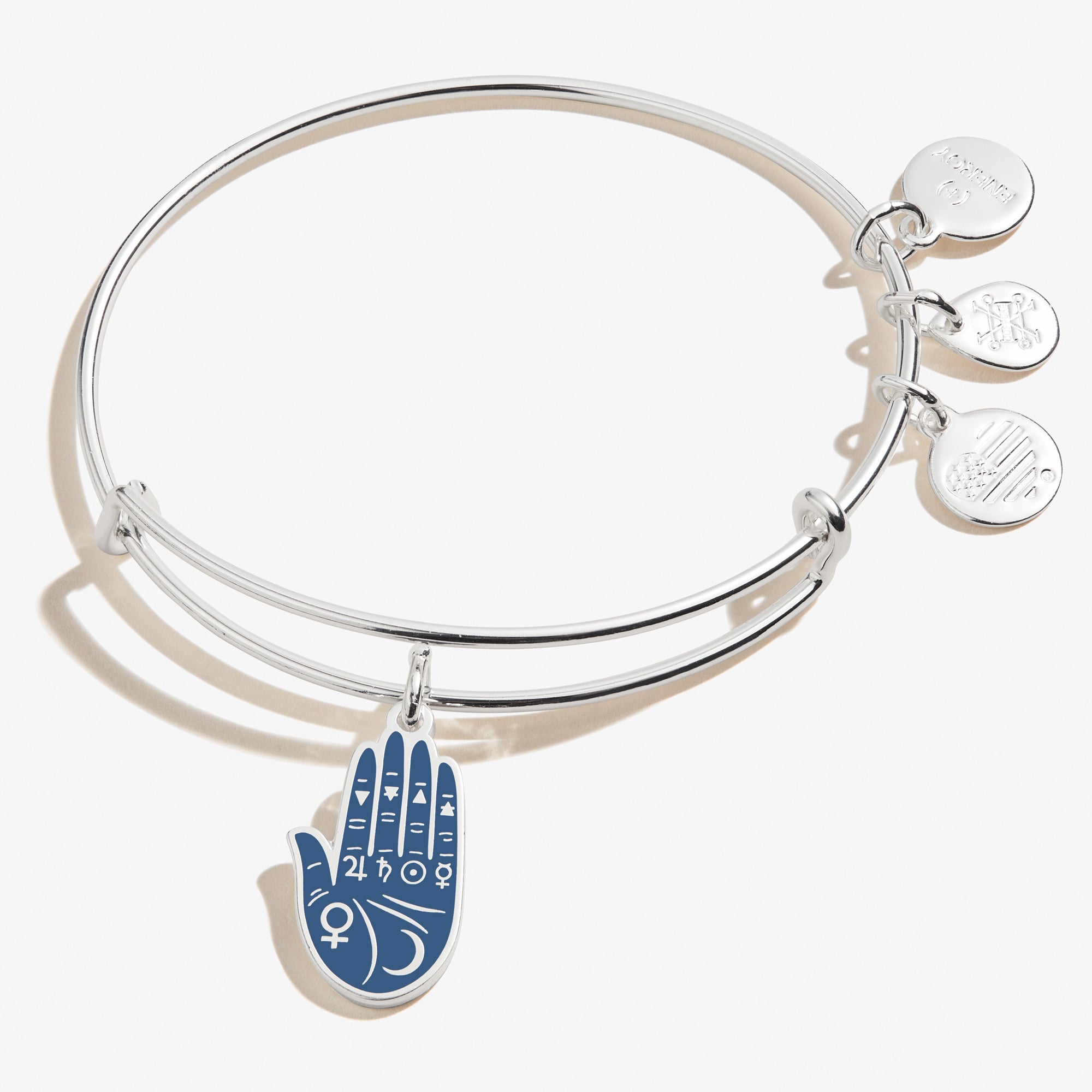 Lucky Palmistry Charm Bracelet for Women - Feng Shui Wealth & Fortune Jewelry - Perfect for Spiritual Healing, Meditation & Gift Giving