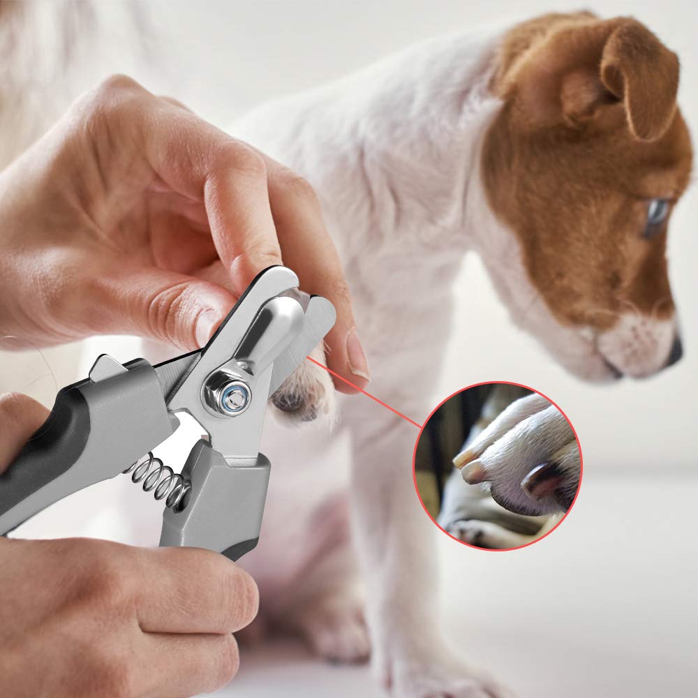 Professional Dog Nail Clippers for Large Breeds with Quick Sensor - Cat Nail Trimmer with Safety Guard & Nail File | Safe Pet Grooming Tool for Home Use, Vet Clinics and Professional Groomers