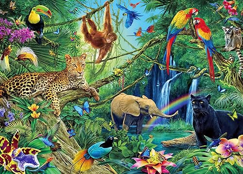 Forest Animals
