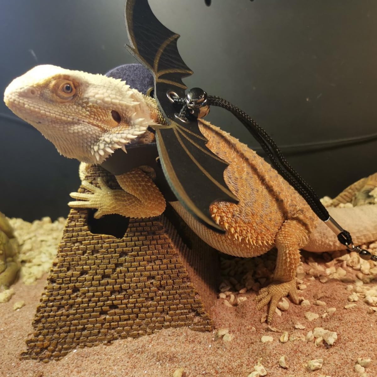 Bearded Dragon Lizard Backpack Carrier with Harness & Leash Set - Small Animal Travel Carrier with Space Capsule Bubble Window - Airline Approved Pet Backpack (Pink) - Perfect for Vet Visits, Outdoor Adventures & Air Travel