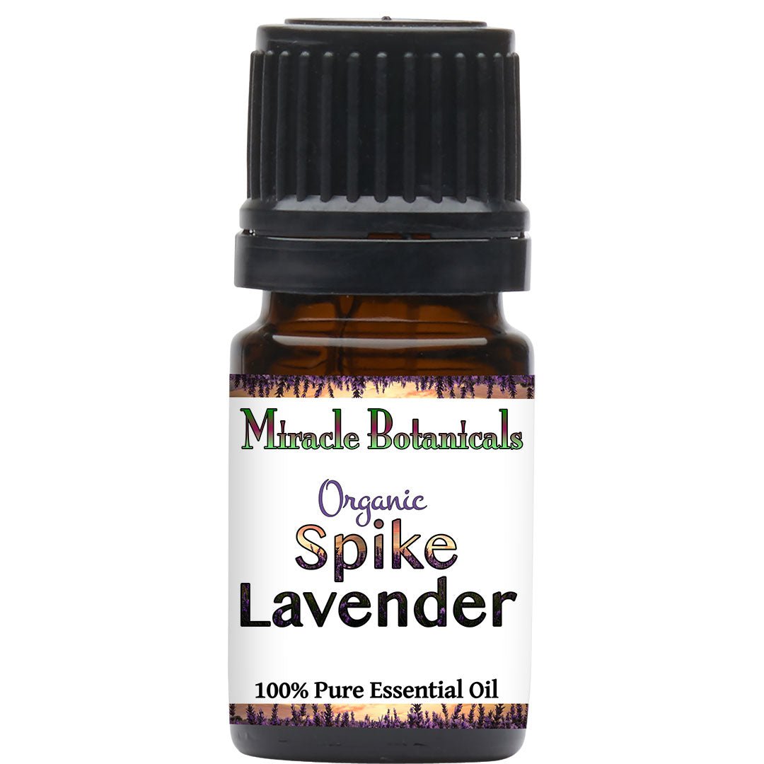 Organic Spike Lavender Essential Oil (Lavandula Latifolia Medikus) - Pure Aromatherapy Oil for Relaxation, Stress Relief & Sleep Aid