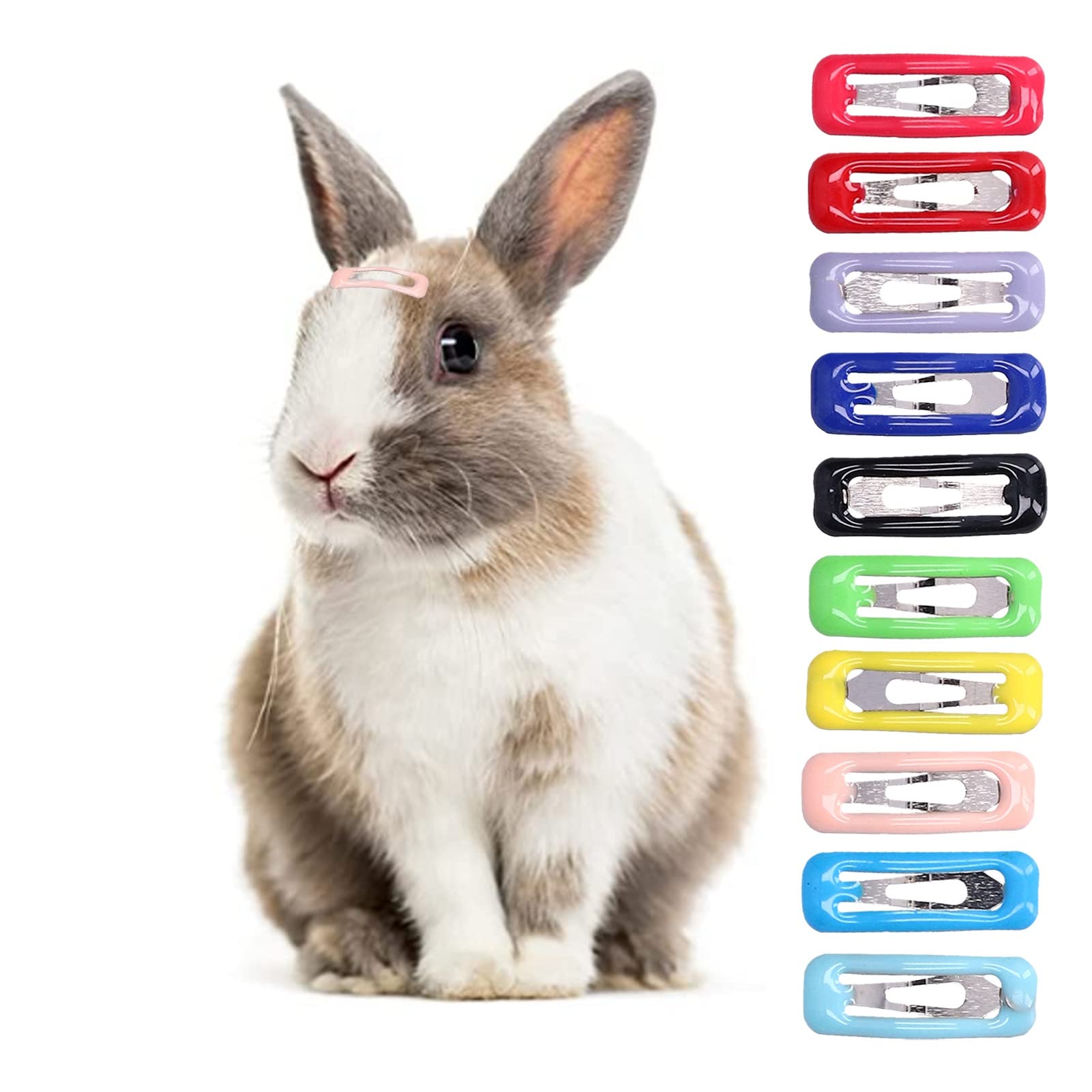HEEPDD 50-Piece Pet Hair Clips Set - 10 Color Dog & Cat Hair Accessories (2cm/0.8in) for Grooming, Styling & Daily Use - Perfect for Puppies, Kittens & Small Pets