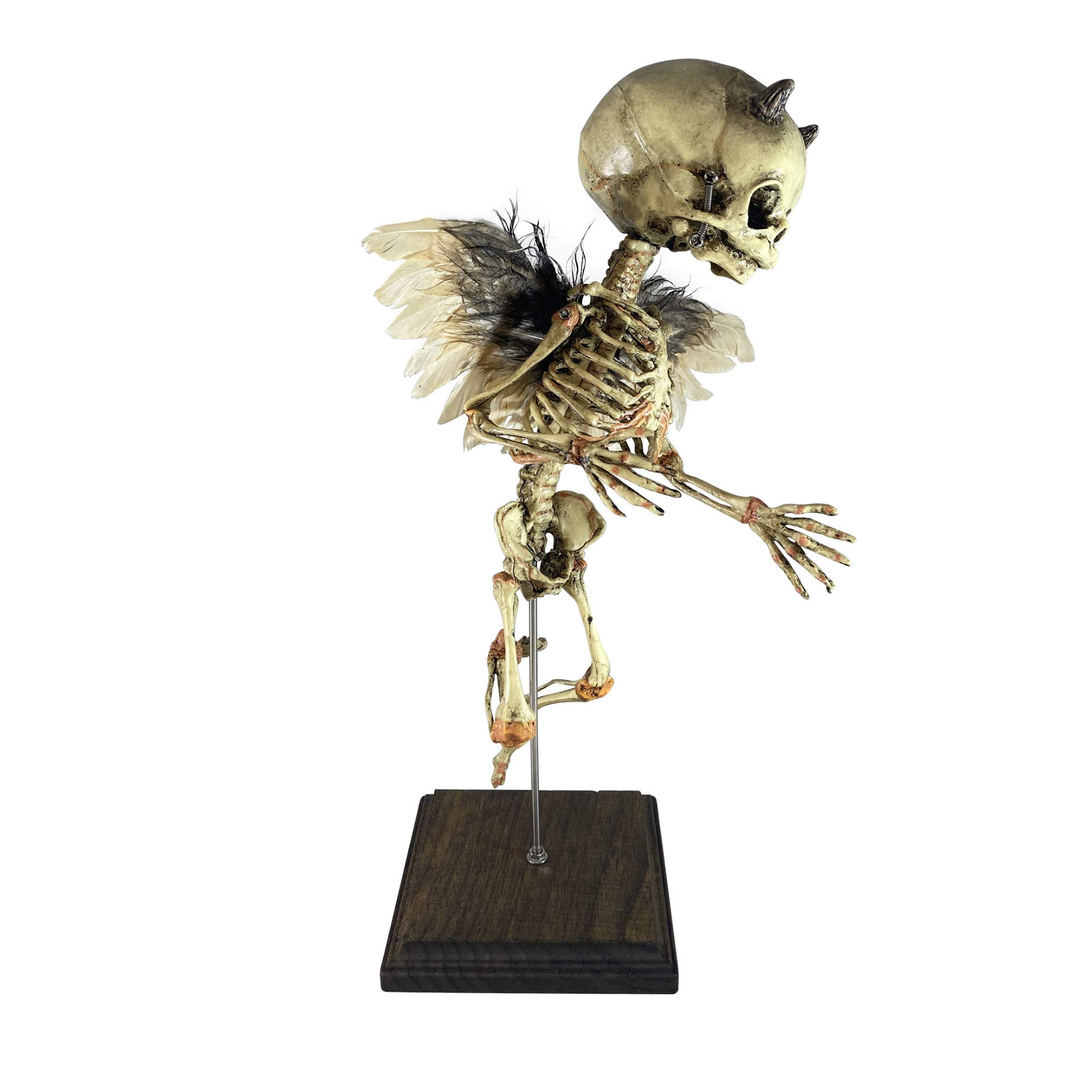 Incubus Rising Demon Fetus Skeleton Oddity - Unique Demonic Medical Specimen Collectible for Horror Decor, Gothic Display & Halloween Props (Beige, One Size)